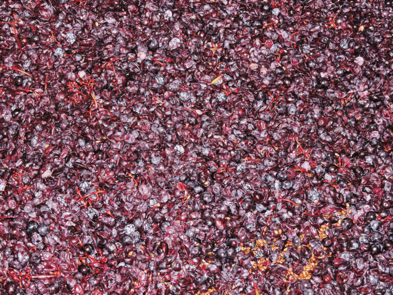 Pomace